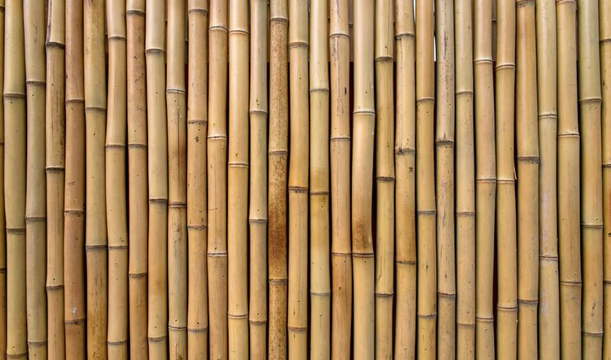 Window Treatment Ideas bamboo shades