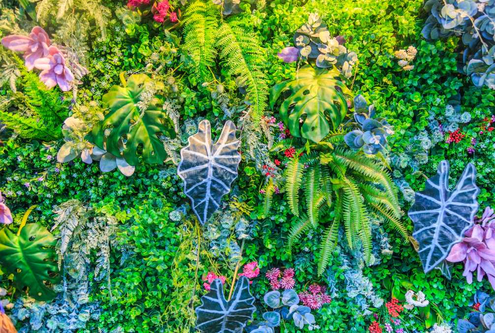 Vertical Succulent Gardens: