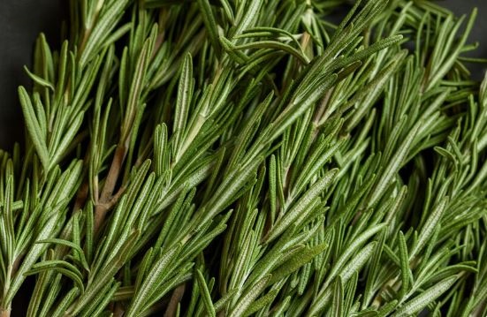 Rosemary:Plants That Do Well In Direct Sunlight